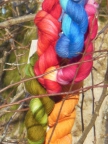 Sheep Uy Colors- Cabito