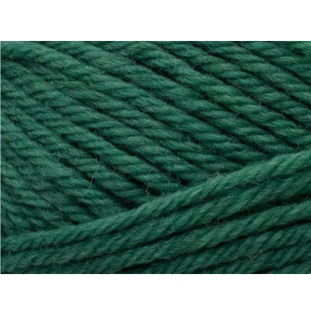 Peruvian Highland Wool - 834 Emerald
